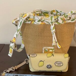 Coach Lemon Print Sunglass Case